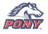 PONY